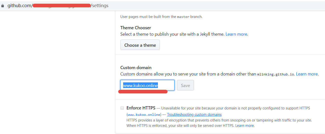 在`Custom domain`里输入即可